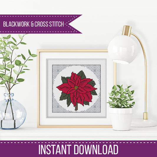 Centre Stage - Poinsettia